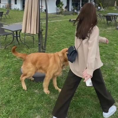 真我无缰
