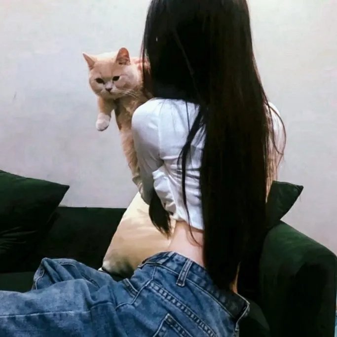 机关算尽深宫计粤语